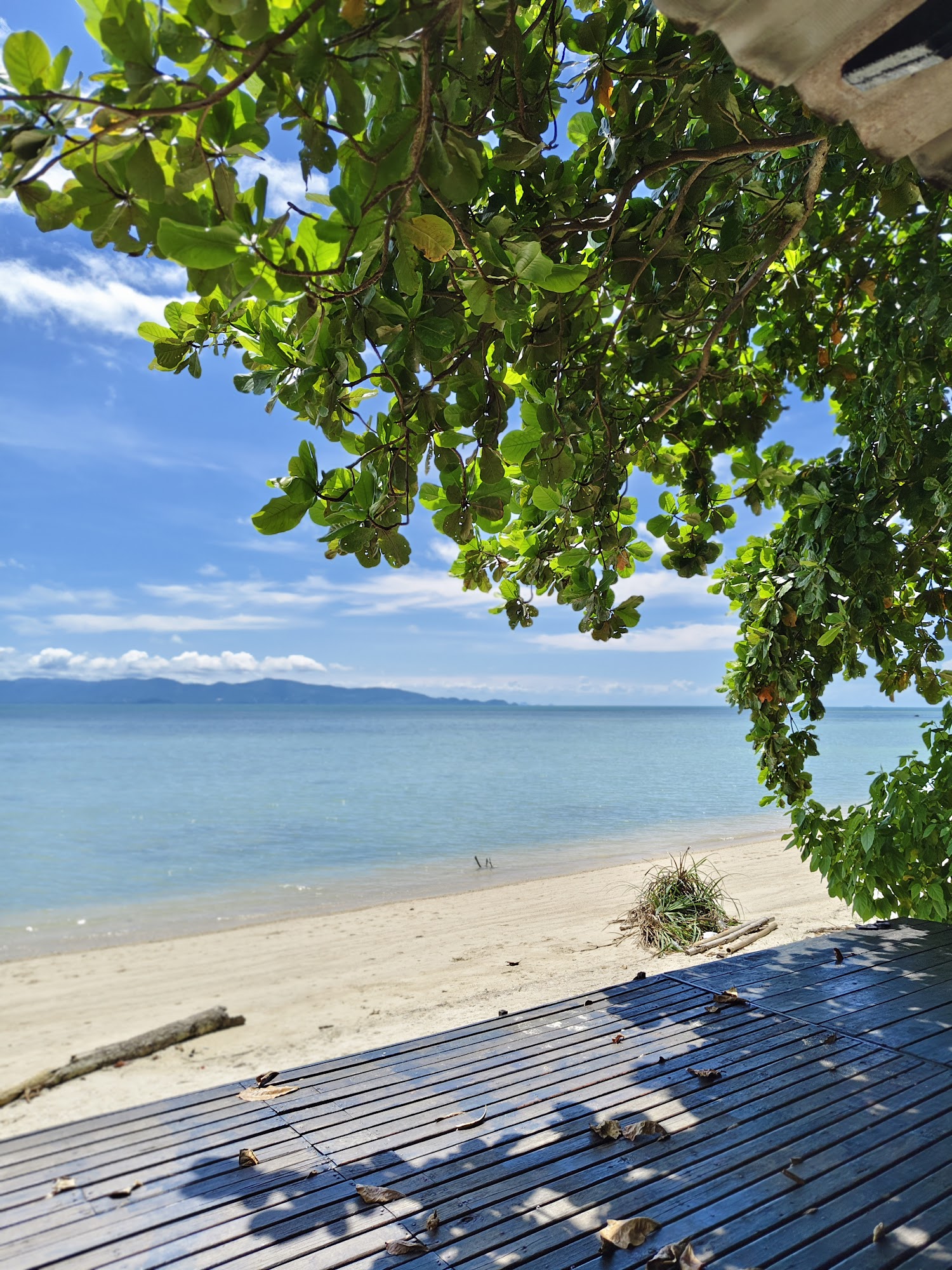Beach view from the resort